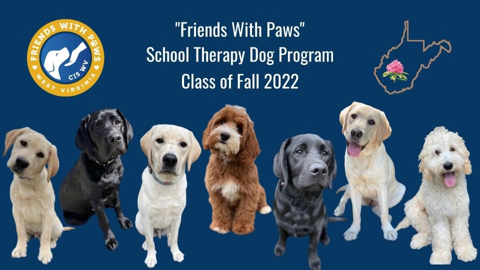 Seven dogs that will be placed in Fall 2022 as part of  "Friends With Paws" school therapy dog program