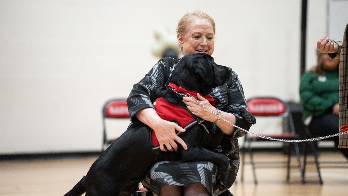 First Lady Justice performing 'snuggle' training command with Kylo