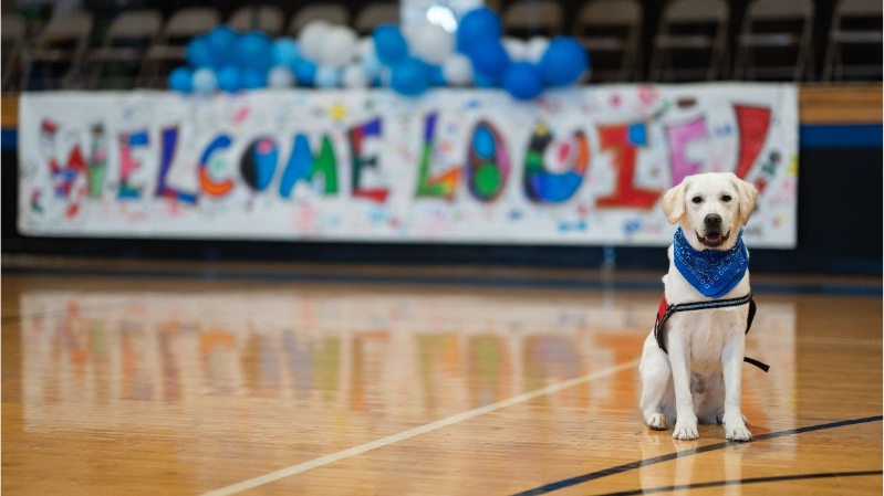 Louie sitting in front of a sign that says "Welcome Louie"