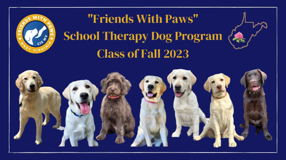 Next seven Friends With Paws therapy dogs