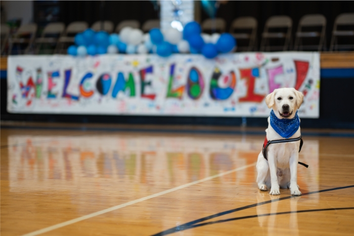 Louie sitting beside a sign that says Welcome Louie